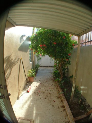 rearyard.jpg