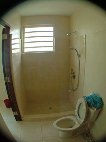 shower2.jpg