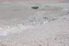 viewdowntobasecamp2_small.jpg