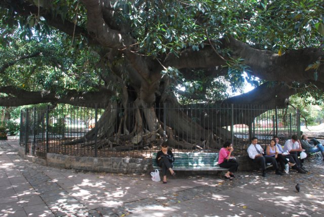 buenosaires4.jpg