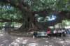 buenosaires4_small.jpg