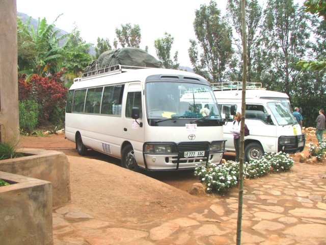 thebus.jpg