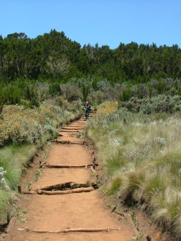 thetrail2.jpg