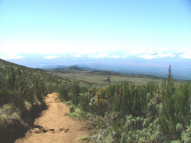 walkingdown2.jpg