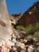 canyon2_small.jpg