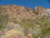 cliff10_small.jpg