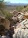 kingvalley6_small.jpg