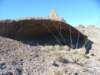 naturalshelter2_small.jpg