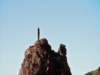 saguaro_small.jpg