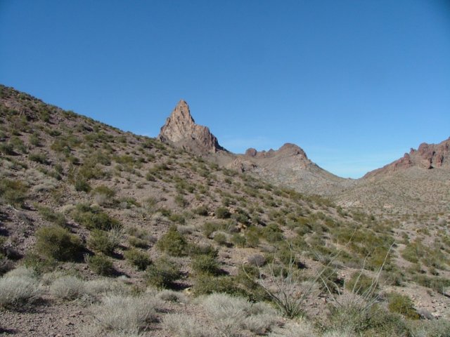squawpeak3.jpg