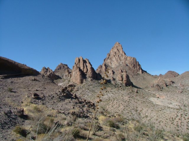 squawpeak5.jpg