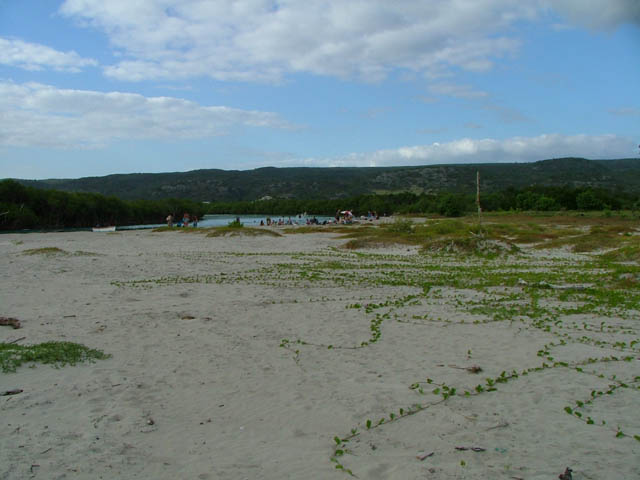 2004_0105Image0011