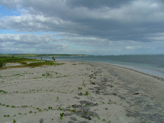 2004_0105Image0015