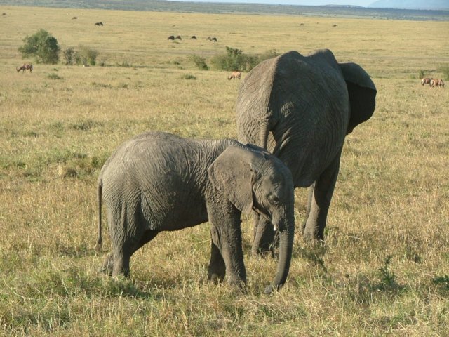 motherandyoungone.jpg