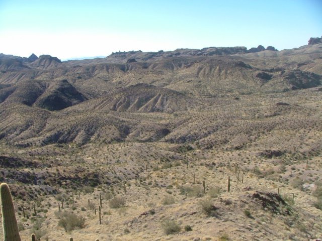 desert2.jpg