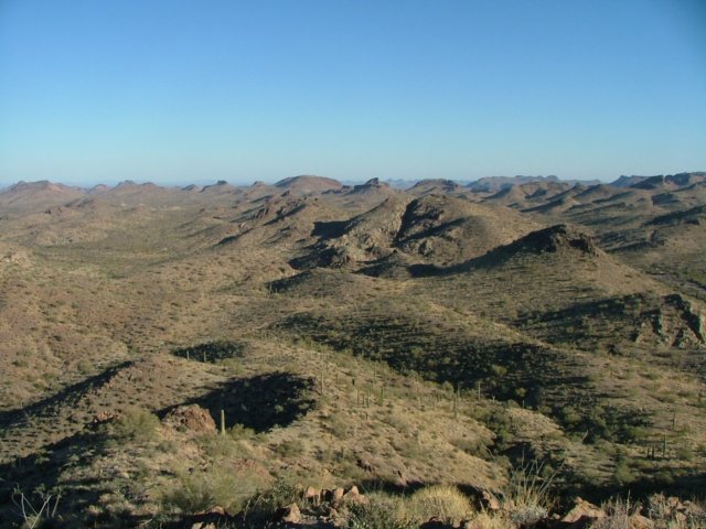 sonorandesert2.jpg