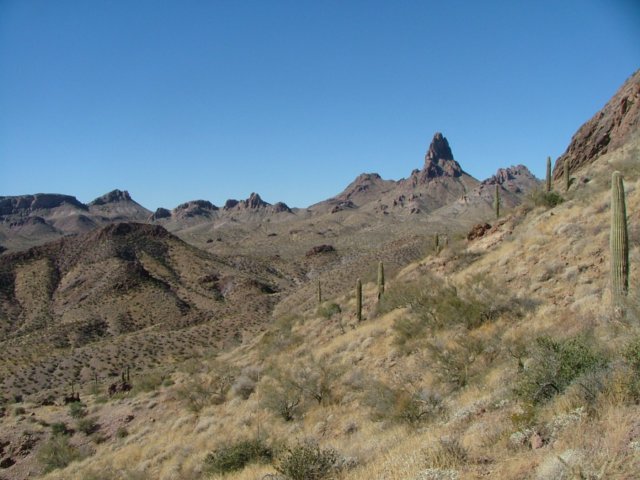 sonorandesert4.jpg
